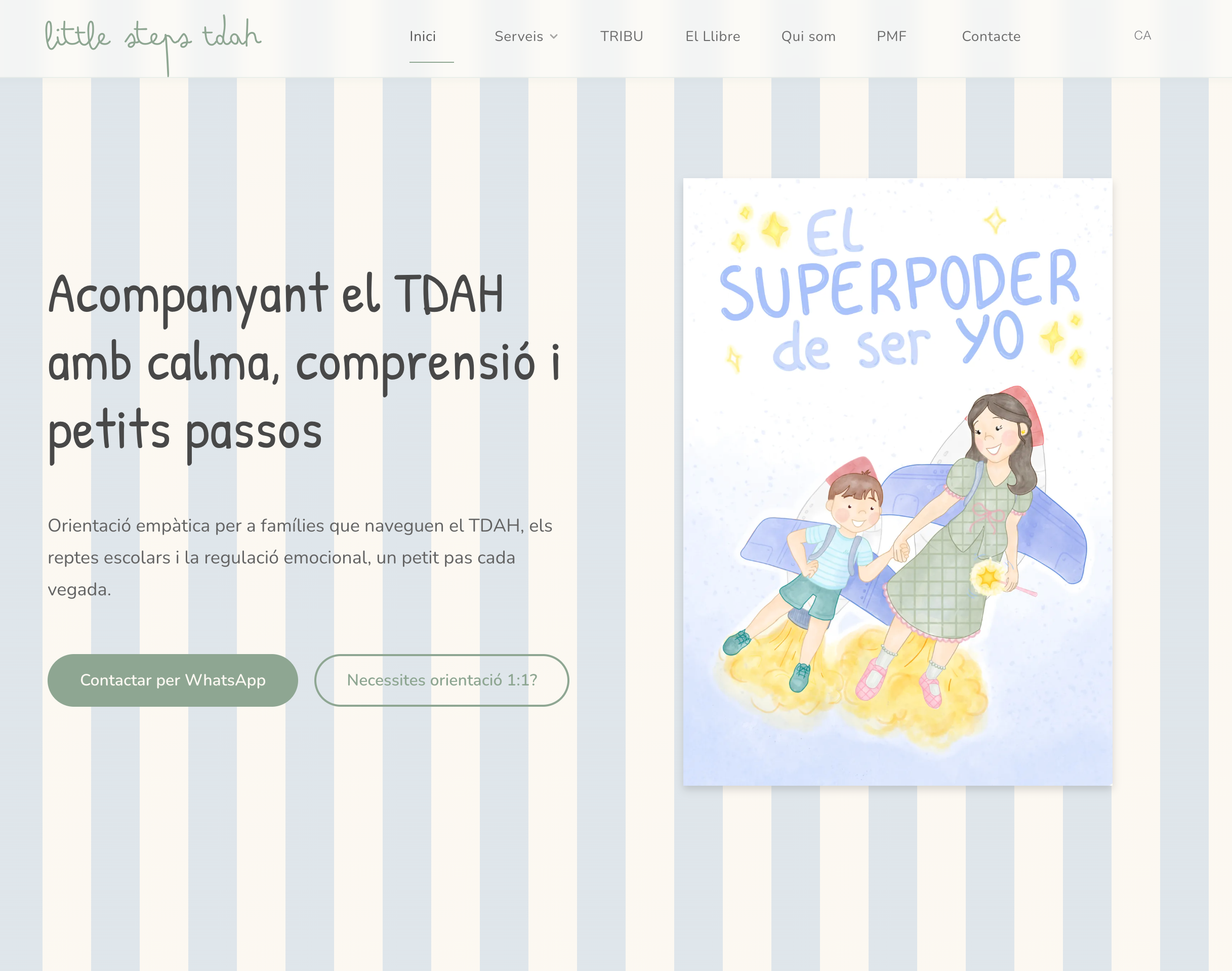 Little Steps TDH website preview